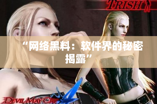 “网络黑料：软件界的秘密揭露”