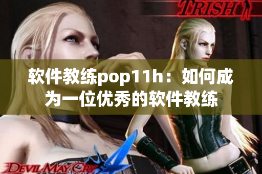 软件教练pop11h：如何成为一位优秀的软件教练