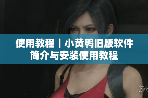 使用教程｜小黄鸭旧版软件简介与安装使用教程