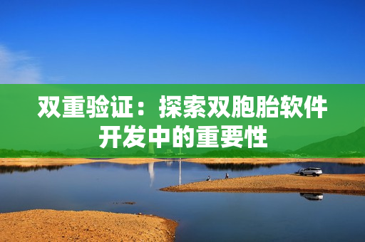 双重验证：探索双胞胎软件开发中的重要性