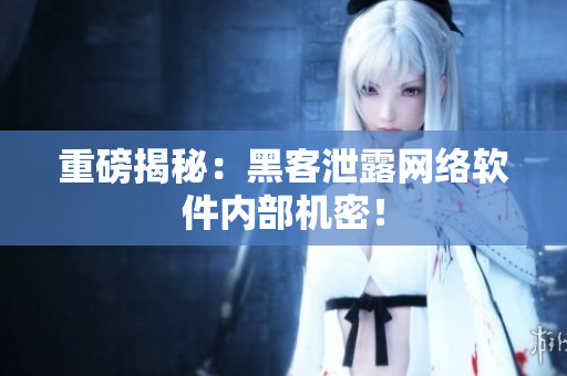 重磅揭秘：黑客泄露网络软件内部机密！