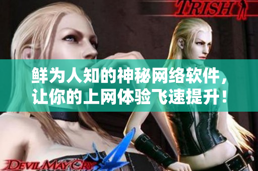 鲜为人知的神秘网络软件，让你的上网体验飞速提升！