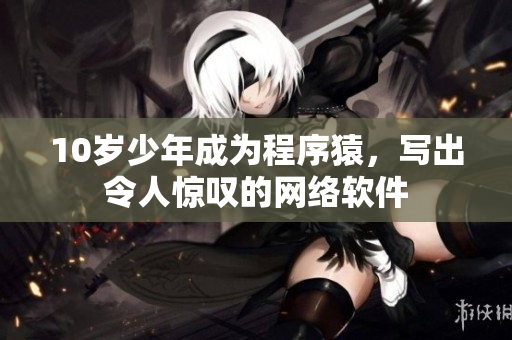 10岁少年成为程序猿，写出令人惊叹的网络软件