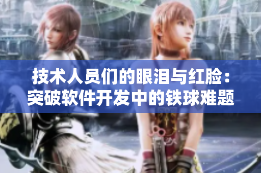 技术人员们的眼泪与红脸：突破软件开发中的铁球难题