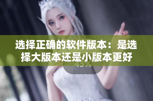 选择正确的软件版本：是选择大版本还是小版本更好