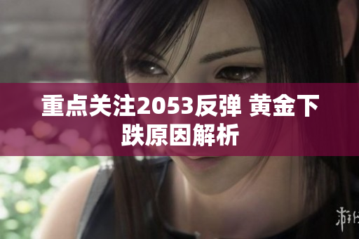 重点关注2053反弹 黄金下跌原因解析