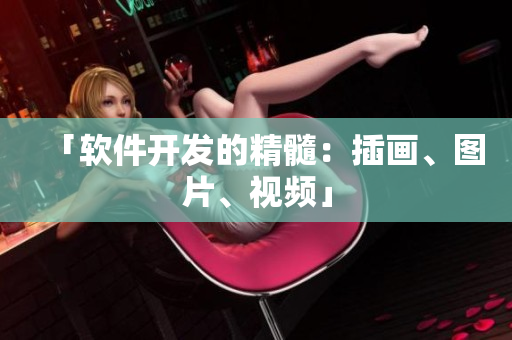 「软件开发的精髓：插画、图片、视频」