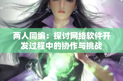 两人同编：探讨网络软件开发过程中的协作与挑战