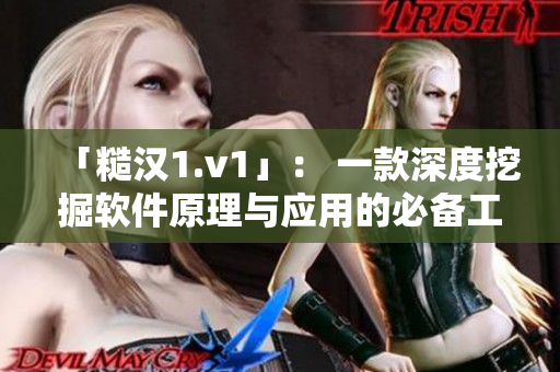 「糙汉1.v1」： 一款深度挖掘软件原理与应用的必备工具