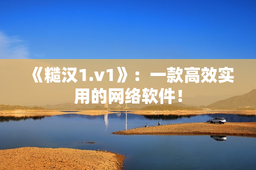 《糙汉1.v1》：一款高效实用的网络软件！