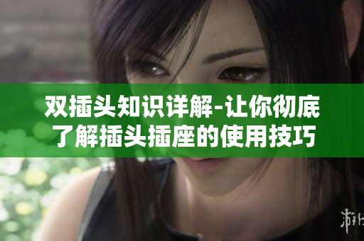 双插头知识详解-让你彻底了解插头插座的使用技巧