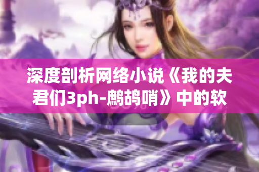 深度剖析网络小说《我的夫君们3ph-鹧鸪哨》中的软件元素