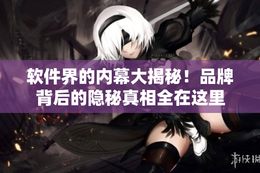 软件界的内幕大揭秘！品牌背后的隐秘真相全在这里