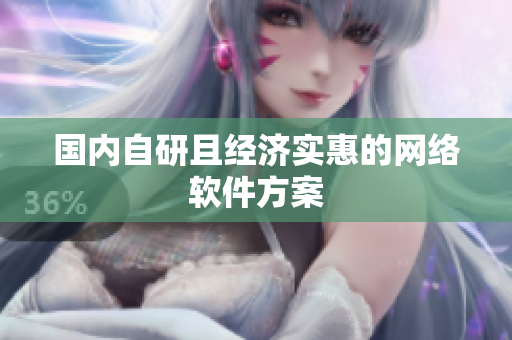 国内自研且经济实惠的网络软件方案