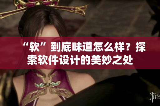 “软”到底味道怎么样？探索软件设计的美妙之处