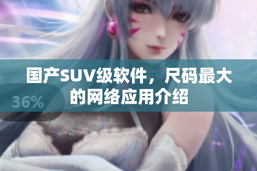 国产SUV级软件，尺码最大的网络应用介绍