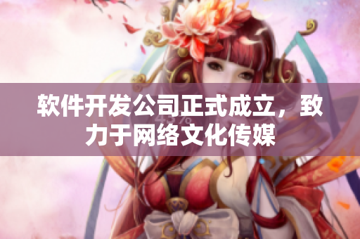 软件开发公司正式成立，致力于网络文化传媒