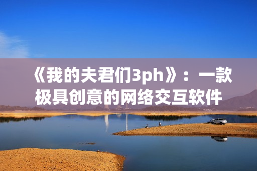 《我的夫君们3ph》：一款极具创意的网络交互软件