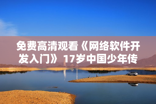 免费高清观看《网络软件开发入门》 17岁中国少年传授心得