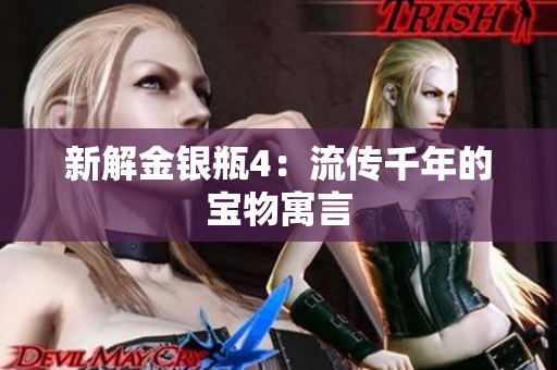 新解金银瓶4：流传千年的宝物寓言