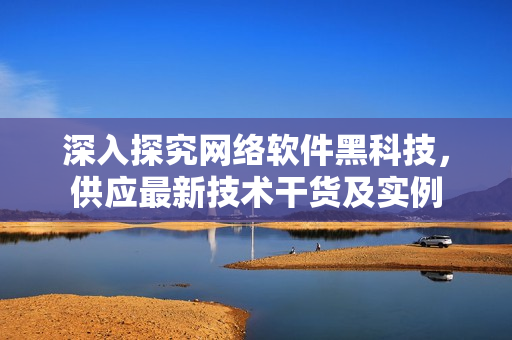 深入探究网络软件黑科技，供应最新技术干货及实例