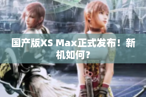 国产版XS Max正式发布！新机如何？