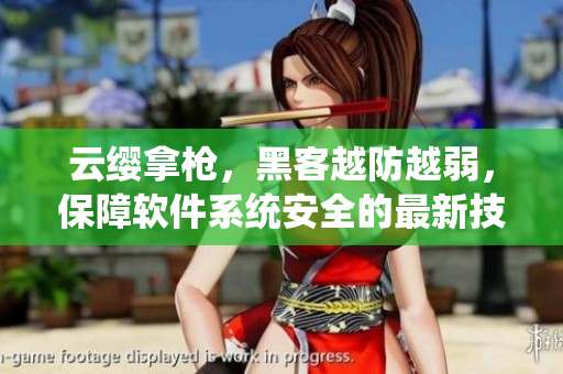 云缨拿枪，黑客越防越弱，保障软件系统安全的最新技巧！