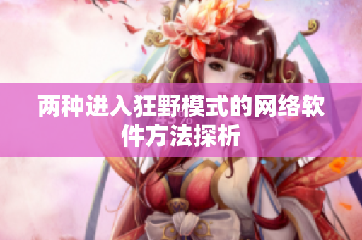 两种进入狂野模式的网络软件方法探析
