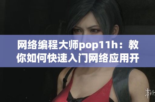 网络编程大师pop11h：教你如何快速入门网络应用开发