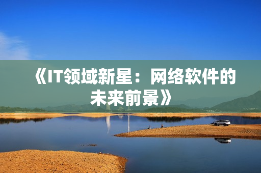 《IT领域新星：网络软件的未来前景》