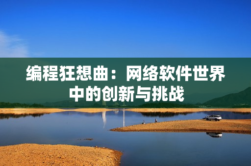 编程狂想曲：网络软件世界中的创新与挑战
