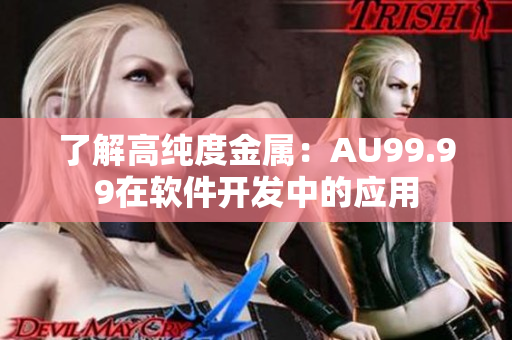 了解高纯度金属：AU99.99在软件开发中的应用