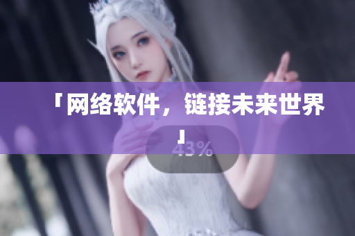 「网络软件，链接未来世界」