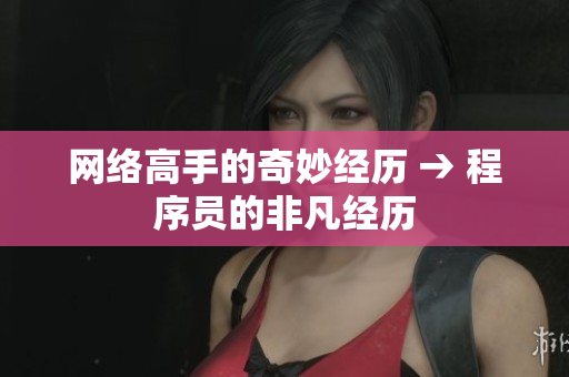 网络高手的奇妙经历 → 程序员的非凡经历