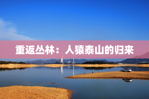 重返丛林：人猿泰山的归来