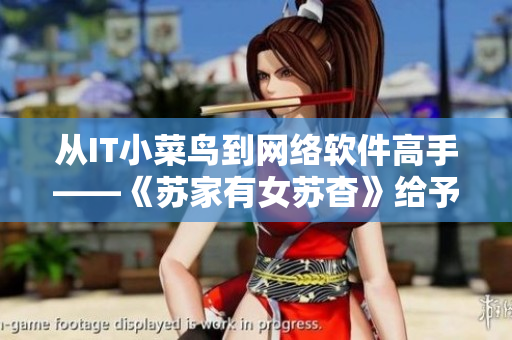 从IT小菜鸟到网络软件高手——《苏家有女苏杳》给予程序员的职场启示