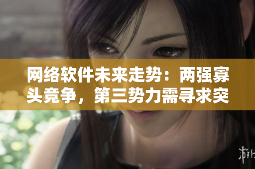 网络软件未来走势：两强寡头竞争，第三势力需寻求突破