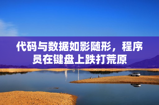 代码与数据如影随形，程序员在键盘上跌打荒原