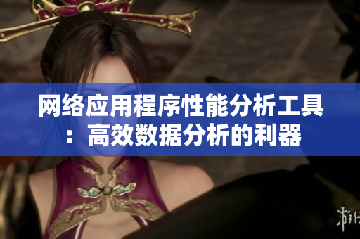 网络应用程序性能分析工具：高效数据分析的利器