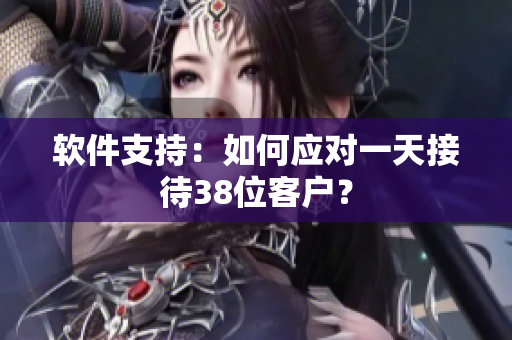 软件支持：如何应对一天接待38位客户？