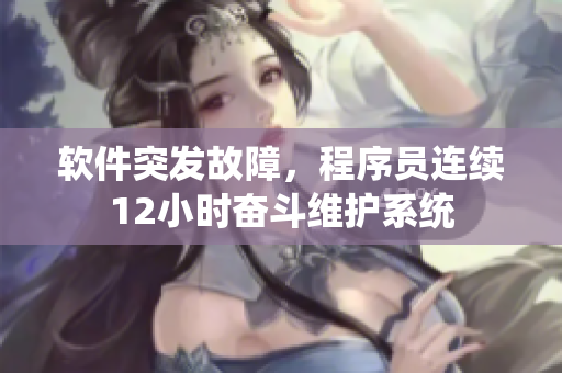 软件突发故障，程序员连续12小时奋斗维护系统
