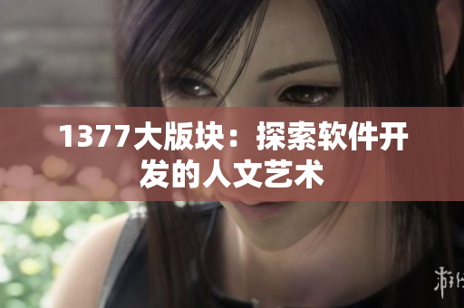 1377大版块：探索软件开发的人文艺术
