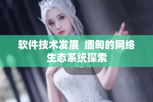 软件技术发展  缅甸的网络生态系统探索