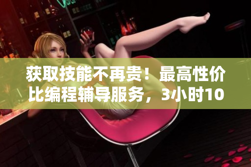 获取技能不再贵！最高性价比编程辅导服务，3小时100元，立即预约！