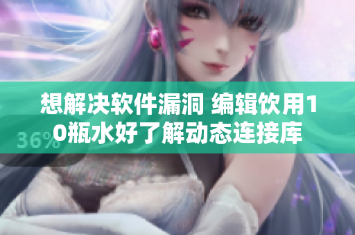想解决软件漏洞 编辑饮用10瓶水好了解动态连接库