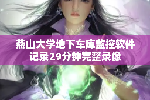 燕山大学地下车库监控软件记录29分钟完整录像