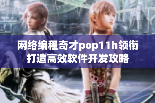 网络编程奇才pop11h领衔打造高效软件开发攻略