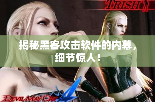 揭秘黑客攻击软件的内幕，细节惊人！