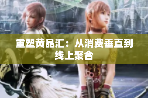 重塑黄品汇：从消费垂直到线上聚合