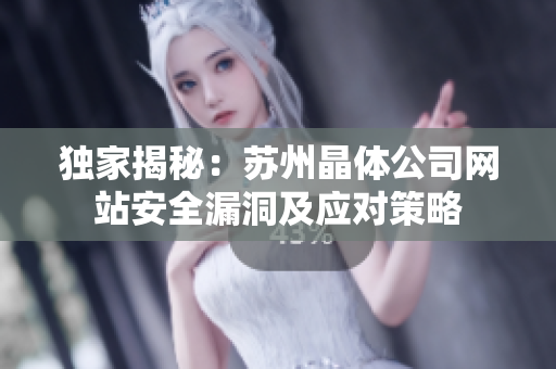 独家揭秘：苏州晶体公司网站安全漏洞及应对策略
